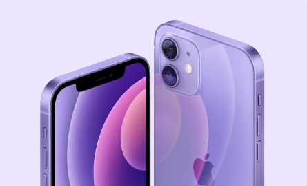 市南苹果手机维修分享紫色版iPhone 12有什么技术亮点 